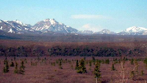 Lightly-treed Flatlands