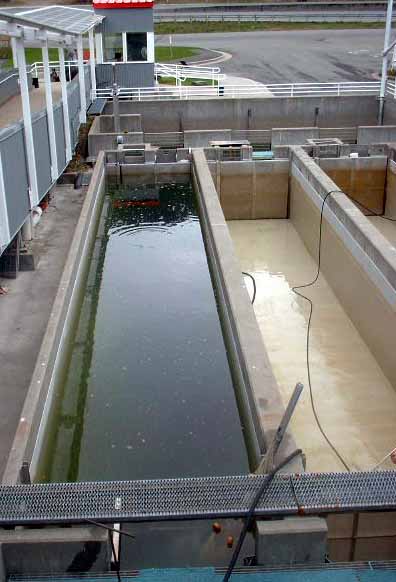 300,000 fish at Gastineau Hatchery