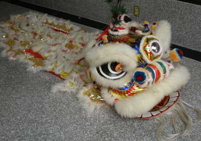 Lion Dance costume 