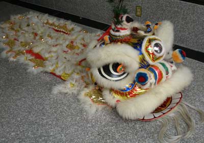 Lion Dance costume