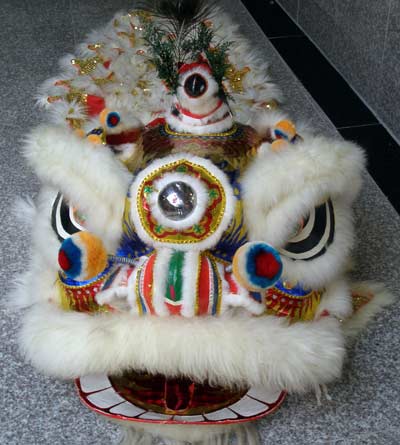 Lion Dance costume on floor