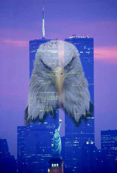 Bald Eagle over World Trade Center