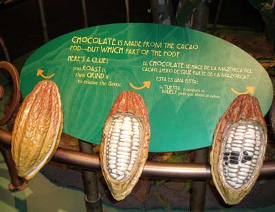 Cacao Pod