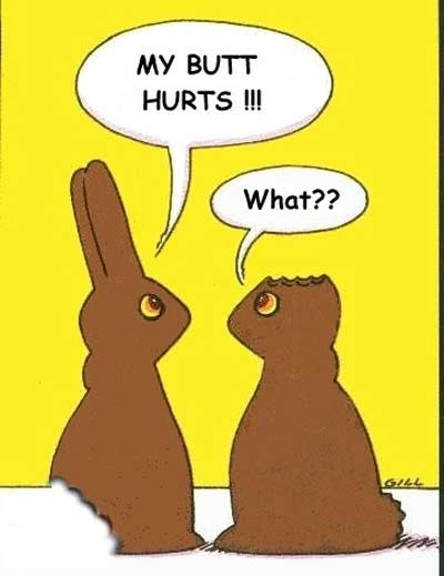Chocolate Easter bunnies with no ears