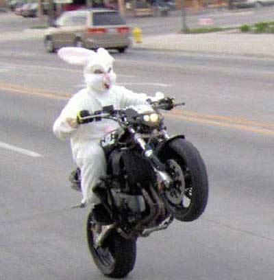 [Imagem: easter-bunny-motorcycle.jpg]