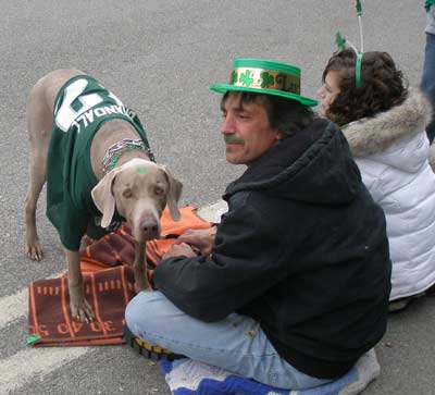 Dog watching the parade