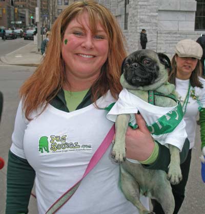 Green pug dog