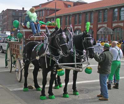 Lake Farm Horses in parade