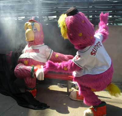 Cleveland Indians mascot Slider