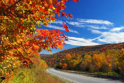 Leaves changing colors along the Highland Highway