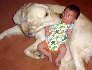 big dog and baby