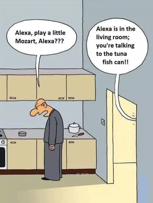 Alexa play Mozart joke