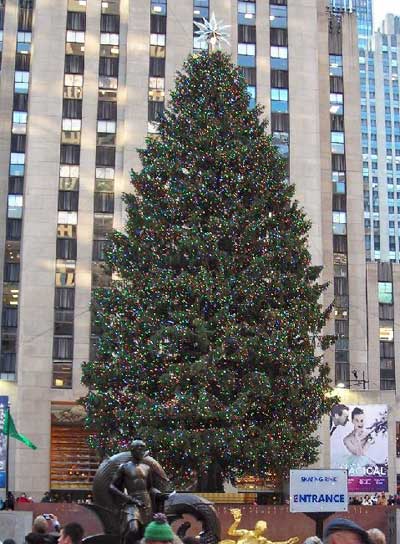 Rockefeller Center Christmas Tree New York