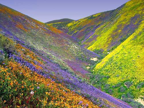 Carrizo plain, in the Temblor Range - colorful landscape