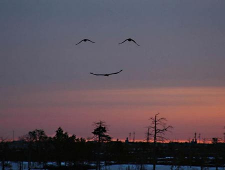 God smiling in the sky