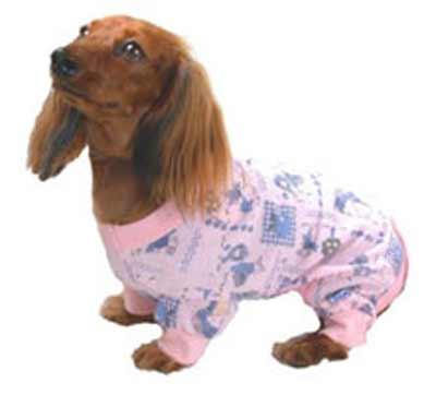 dog in pajamas