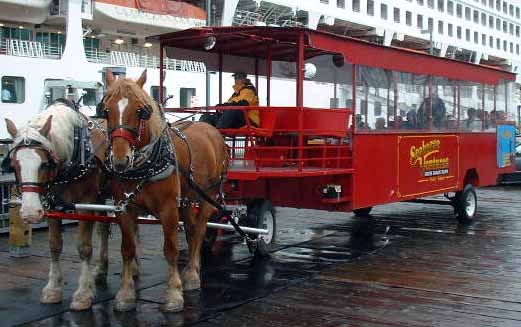 Horse Trolley