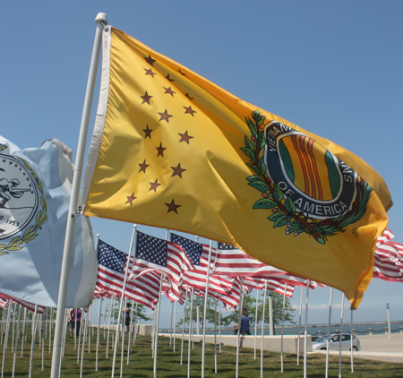 Vietnam Veteran Flag