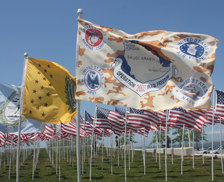 Iraqi Freedom Veterans Flag