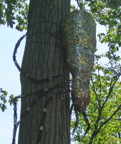 Arachne spider art at Horseshoe Lake in Shaker Heights Ohio