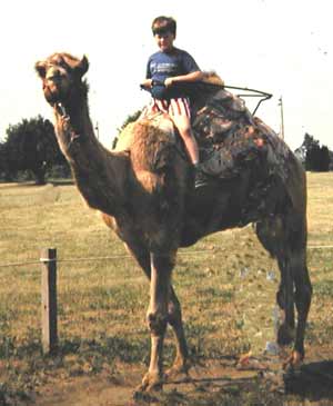 Craig Zurcher on Camel