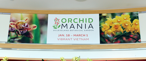 Orchid Mania banner at Cleveland Botanical Gardens 2020