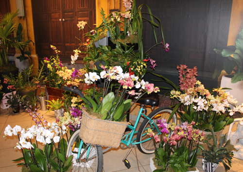 Vietnam street display at Orchid Mania
