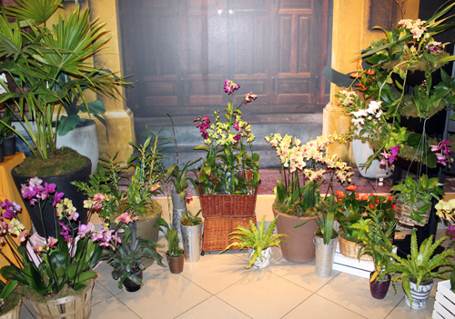 Vietnam street in Orchid Mania exhibit