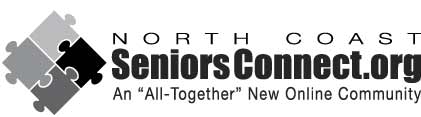 Seniors Connect web site