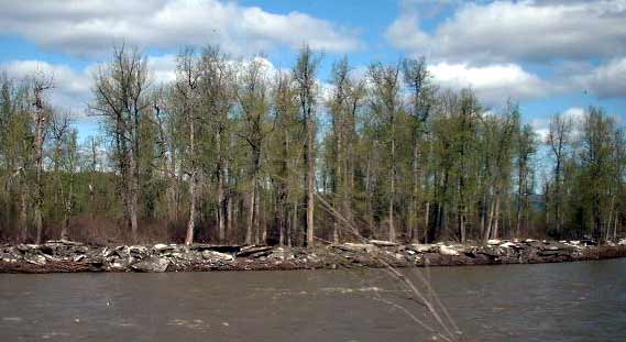 Blocks of ice on river