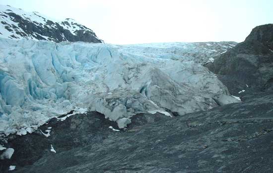 Exit Glacier from lookout