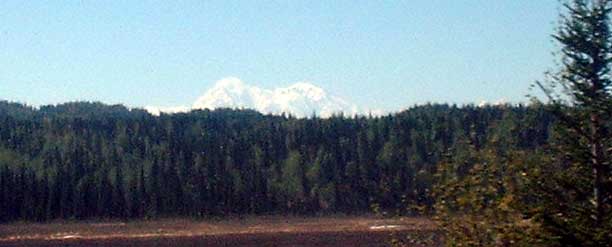 Mt McKinley just above the trees