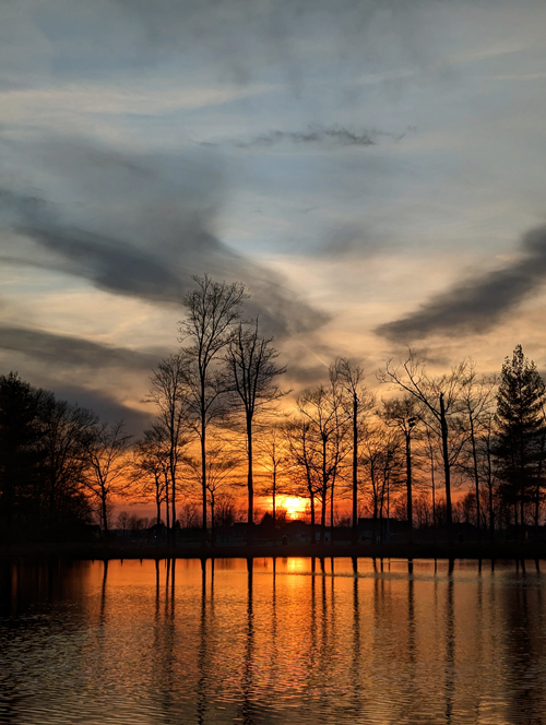Longwood Park