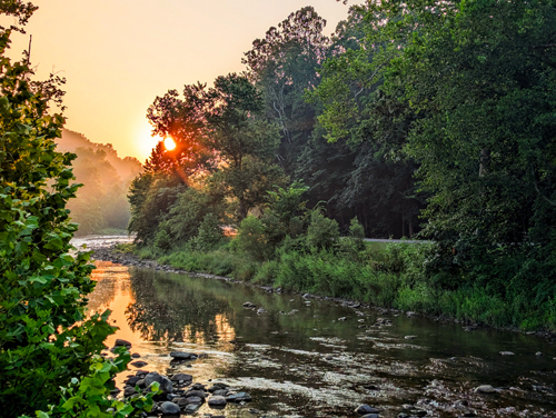 Tinkers Creek
