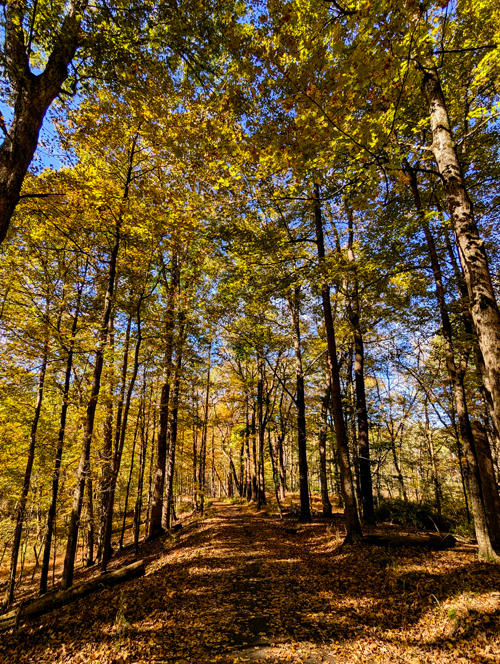 Cuyahoga Valley National Park