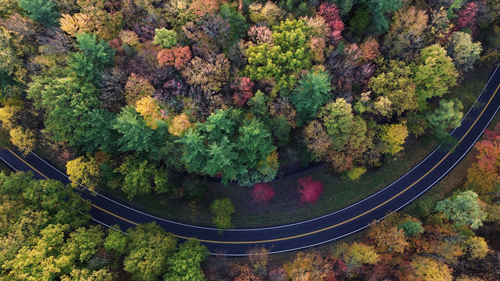 Gorge Parkway from the drone