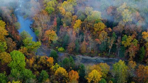 Tinkers Creek in the gorge