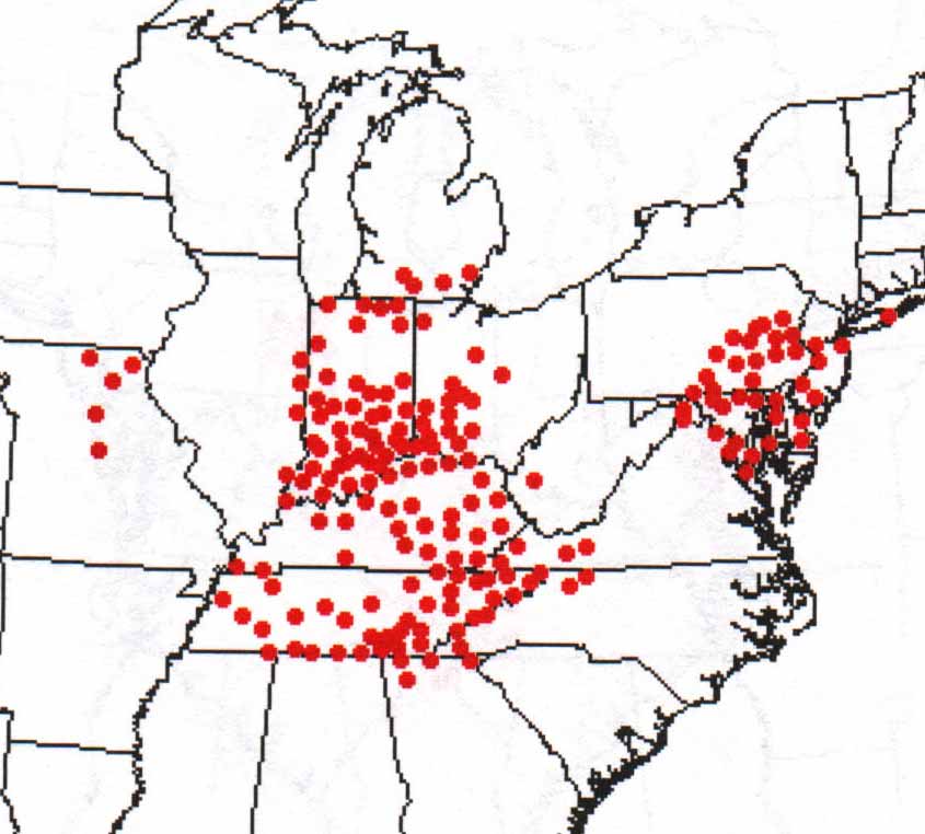 Cicada Brood map