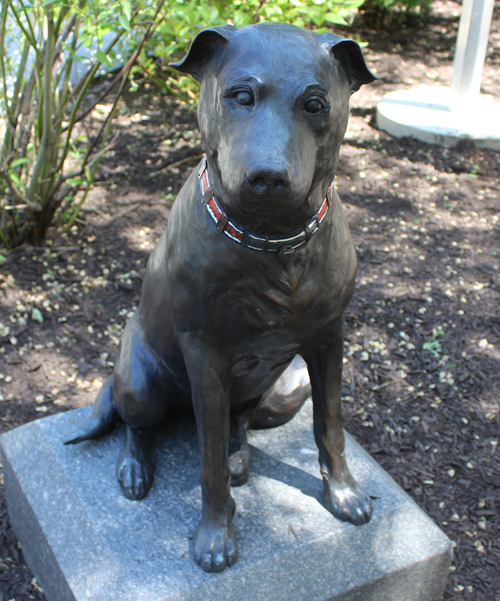 Statue of Harvey the Dog on Public Square