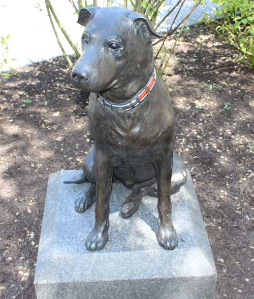 Harvey the dog statue