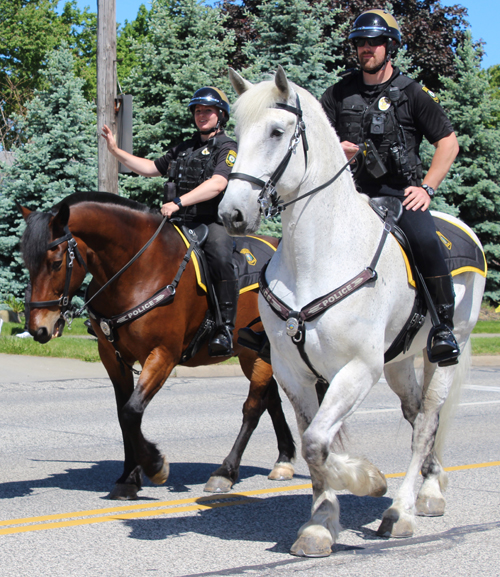 Horses at Seven Hills Memorial Day Parade 2025