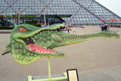 Crocodile Rock Guitar at Guitarmania in Cleveland