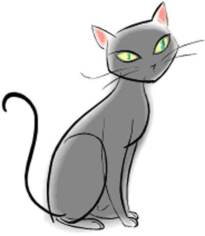 Gray Cat