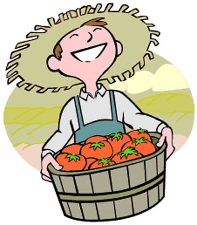 Farmer holding basket of tomatoes
