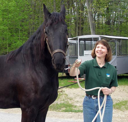 Friesian gelding Thiadrick with Equine Specialist Susan Townsend