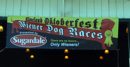 Wiener Dog Race at Cleveland Oktoberfest