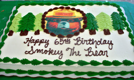 Smokey the Bear birthday cake