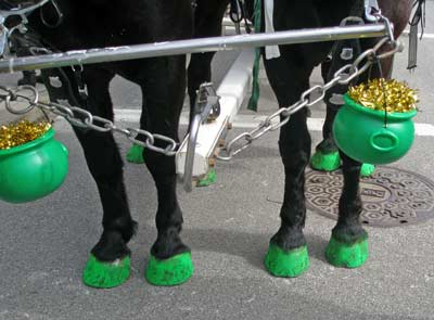 Horse hooves painted green for St Patrick's Day