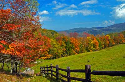 Leaves changing colors along the Highland Highway