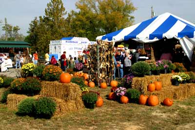West Virginia Pumpkin Festival in Milton